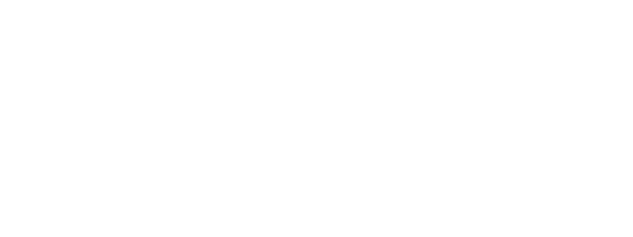 Neurona Simulators